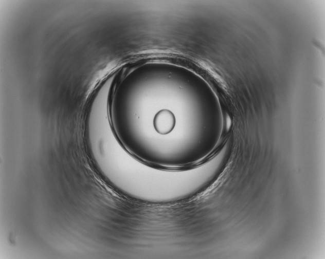 X0000098031357200804071407