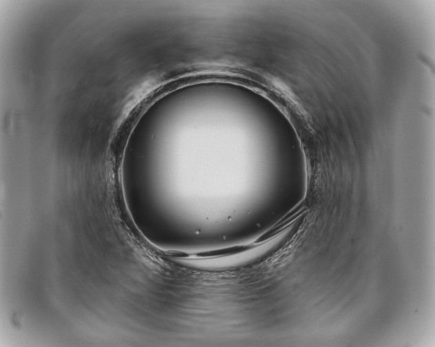 X0000098031360200804071407