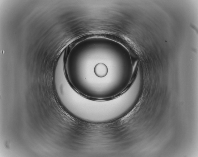 X0000098031361200804071407