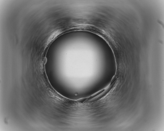 X0000098031362200804071407