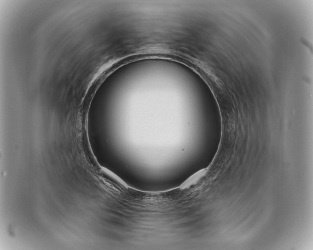 X0000098031364200804071407