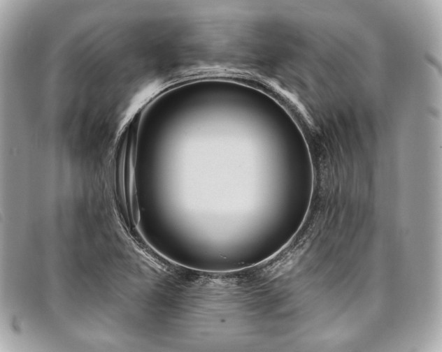 X0000098031365200804071407