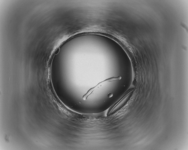 X0000098031366200804071407