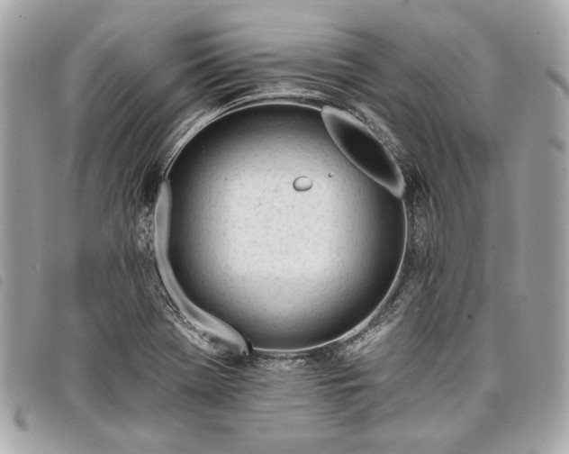 X0000098031369200804071407