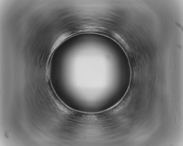 X0000098031370200804071407