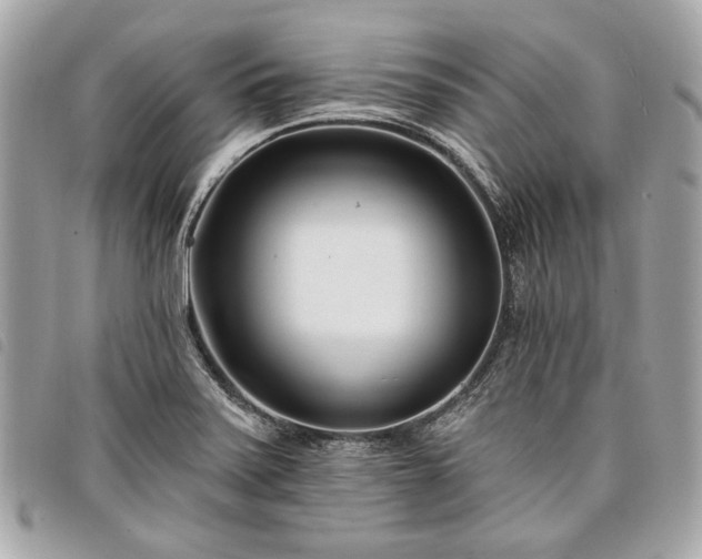 X0000098031371200804071407