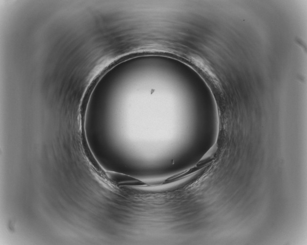 X0000098031372200804071407