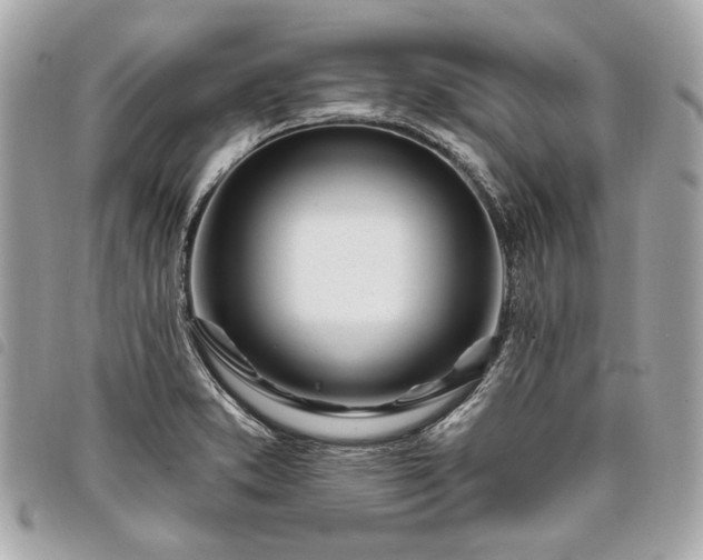 X0000098031373200804071407