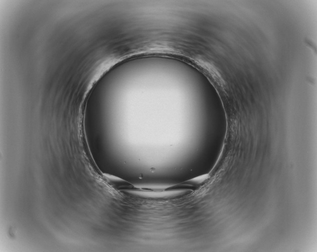 X0000098031374200804071407