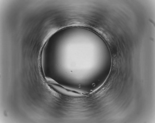 X0000098031375200804071407