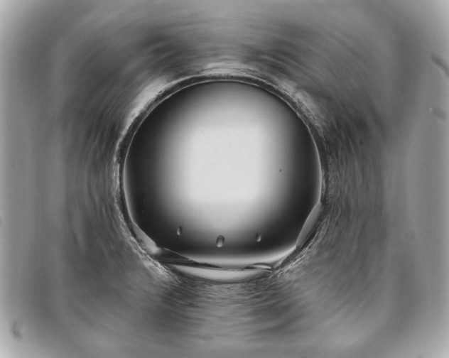 X0000098031376200804071407