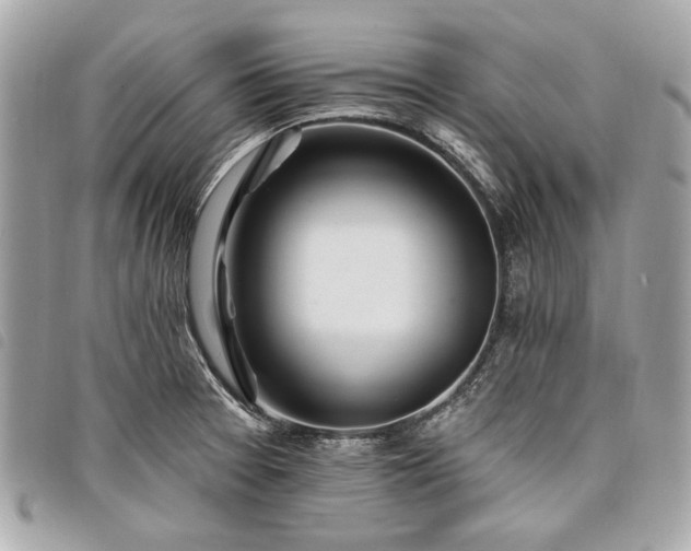 X0000098031377200804071407