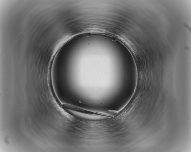 X0000098031379200804071407