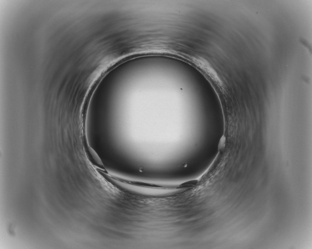 X0000098031380200804071407