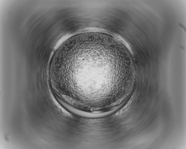 X0000098031381200804071407