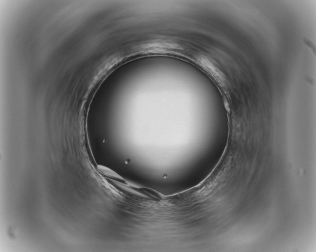 X0000098031384200804071407