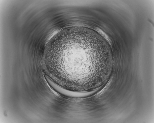 X0000098031385200804071407