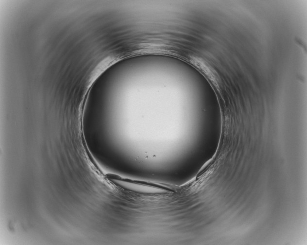 X0000098031386200804071407