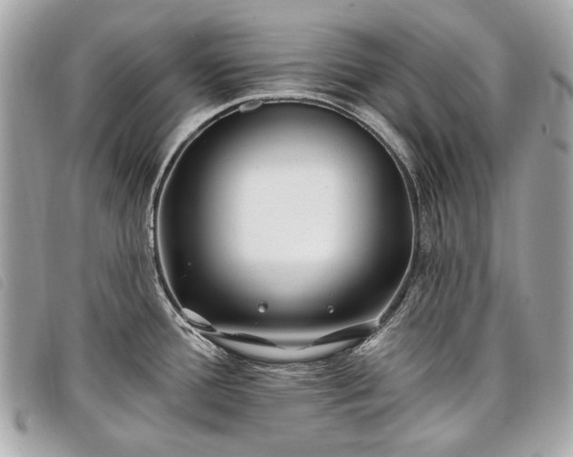 X0000098031388200804071407