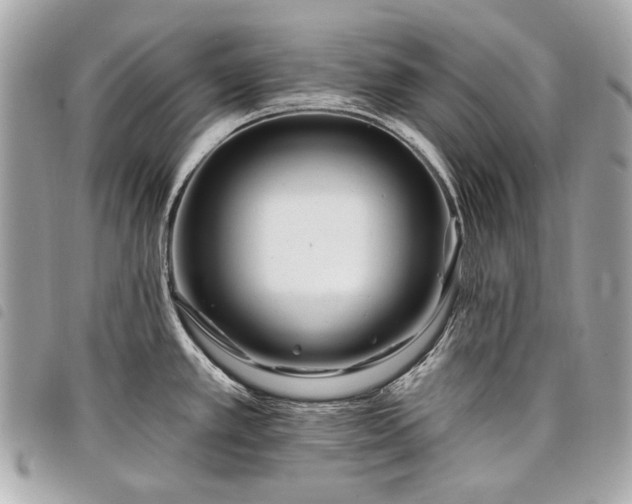 X0000098031389200804071407