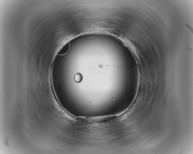 X0000098031390200804071407