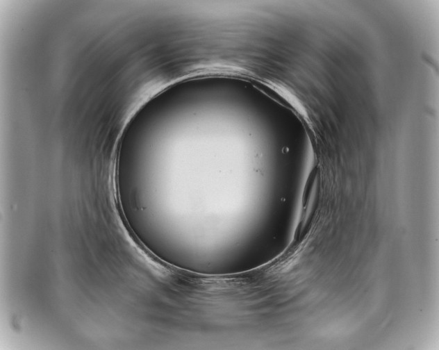 X0000098031391200804071407