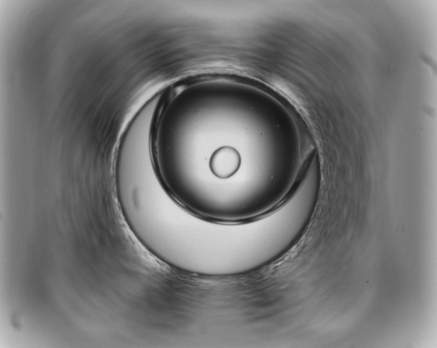 X0000098031392200804071407