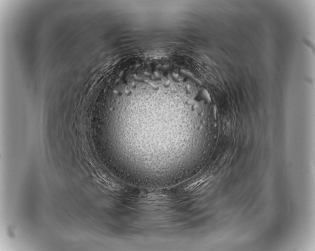 X0000098031393200804071406