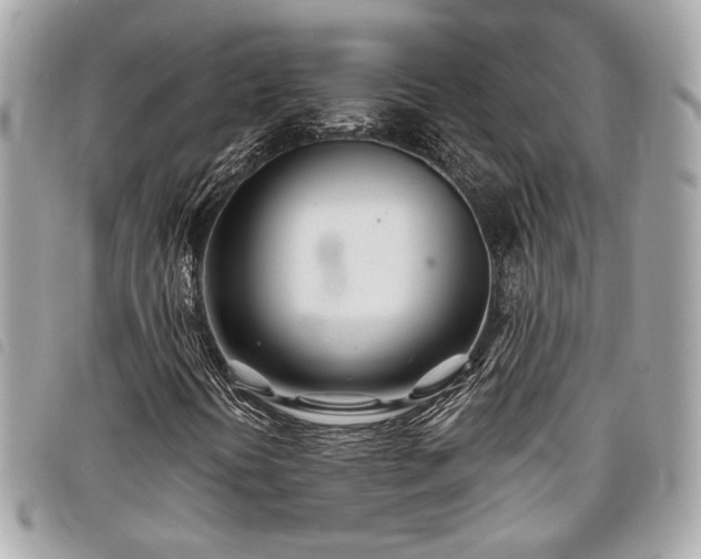 X0000098031394200804071406