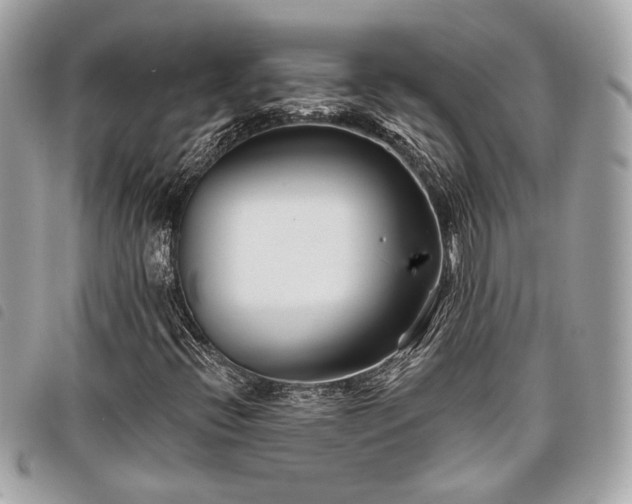 X0000098031396200804071406