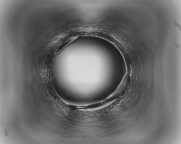 X0000098031398200804071406