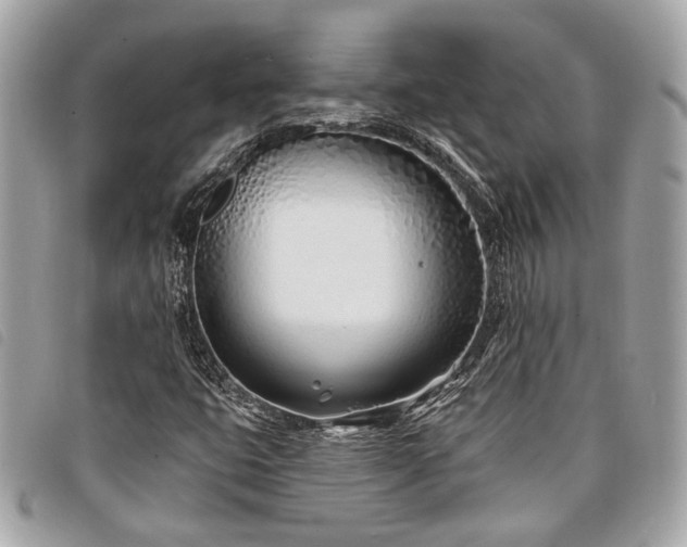 X0000098031399200804071406