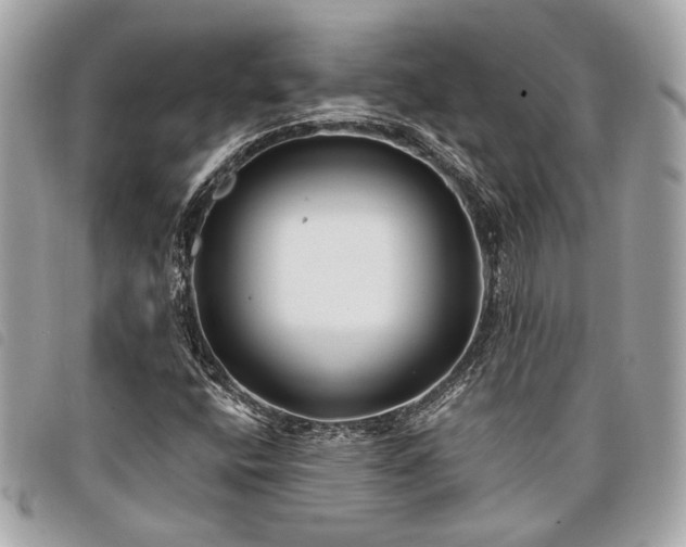 X0000098031400200804071406