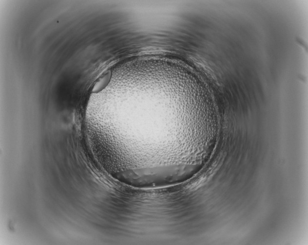 X0000098031401200804071406