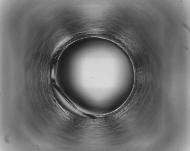 X0000098031402200804071406