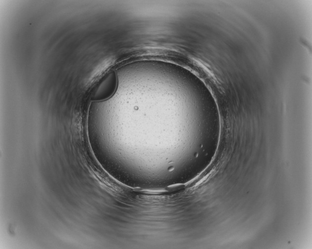 X0000098031403200804071406