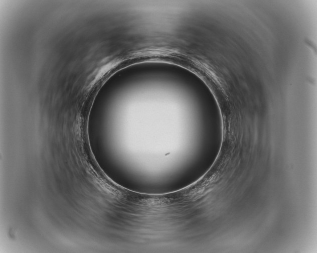 X0000098031404200804071406