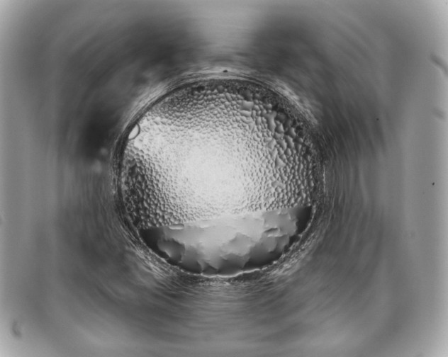 X0000098031405200804071406