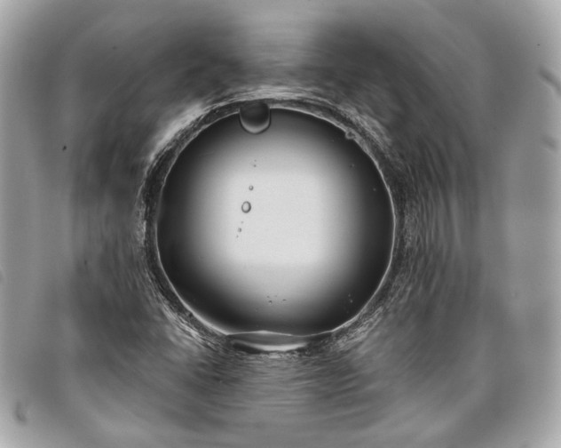 X0000098031406200804071406