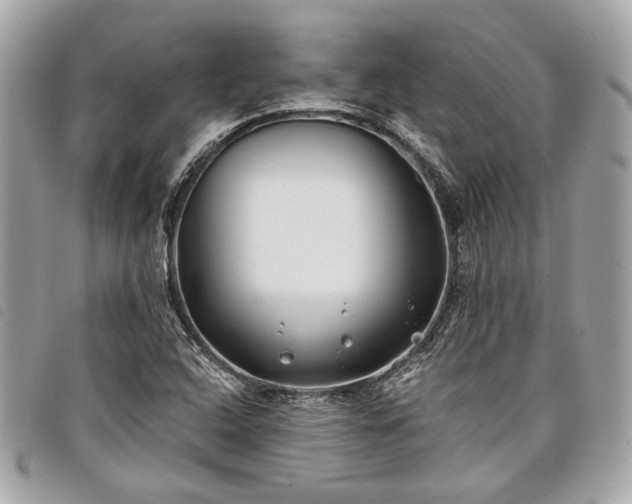 X0000098031408200804071406