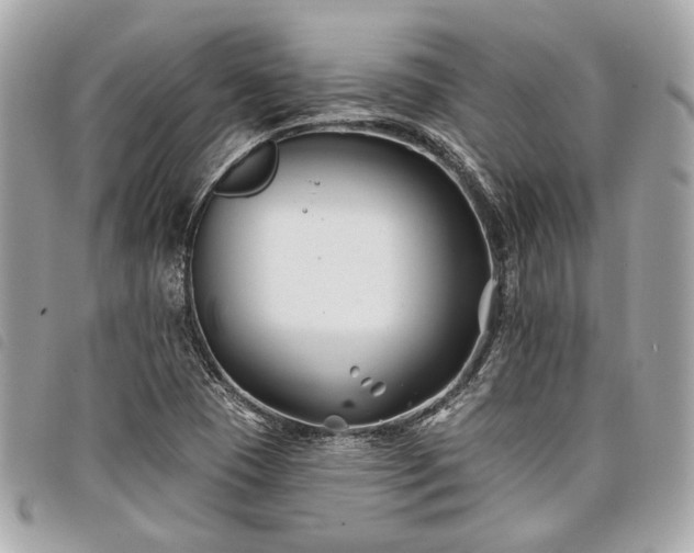 X0000098031409200804071406