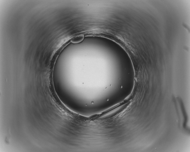 X0000098031410200804071406