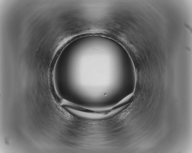 X0000098031412200804071406