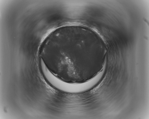 X0000098031414200804071406