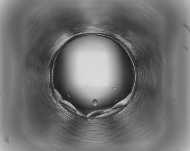 X0000098031415200804071406