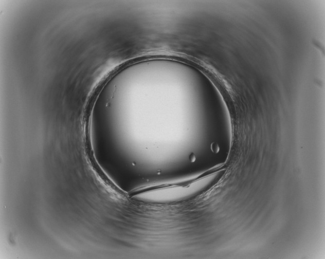 X0000098031416200804071406