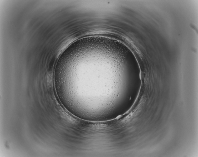 X0000098031417200804071406