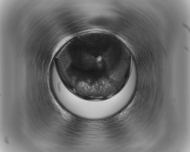 X0000098031418200804071406