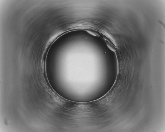 X0000098031419200804071406