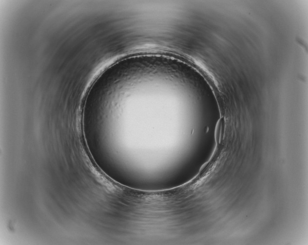 X0000098031421200804071406